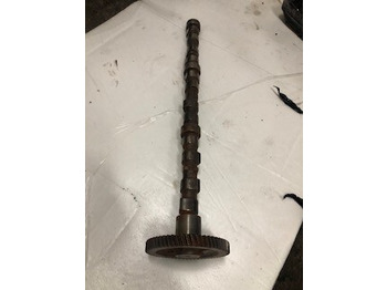 : foto do cabeçalho