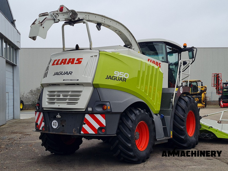 Picadora de forragem automotriz Claas Jaguar 950: foto 20