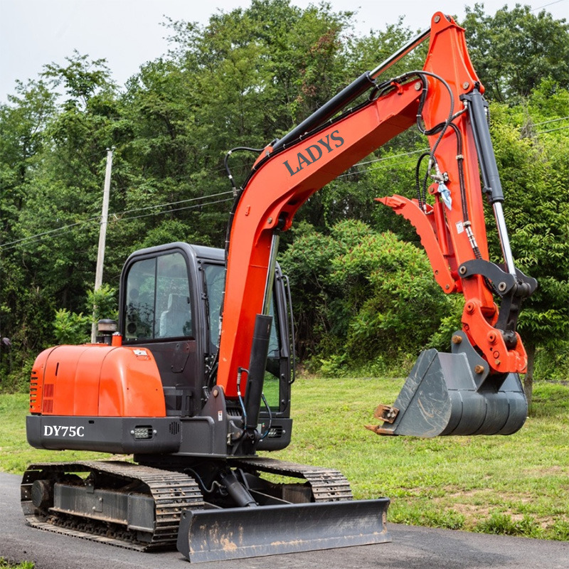 Escavadora de rastos novo LADYS DY75C Small Crawler Excavator Yanmar Engine Small Excavator For Sale: foto 6